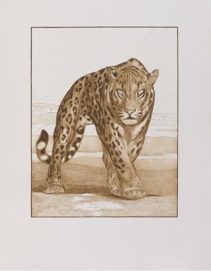 Paul Jouve - Mignonne vue de face